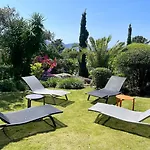 Alta Vista